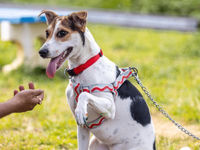 Img1-Boarding-gallary3-min