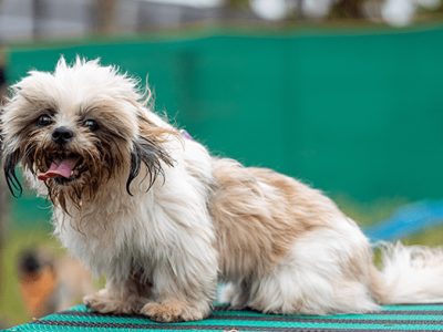 Img1-Boarding-gallary5-min