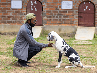 Img3-Training-gallary-min