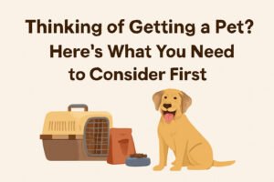 Thinking of Getting a Pet Here’s What You Need to Consider First
