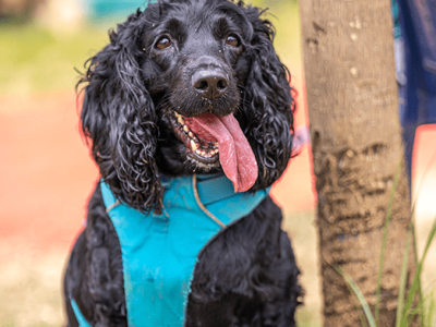 Img1-Boarding-gallary6-min