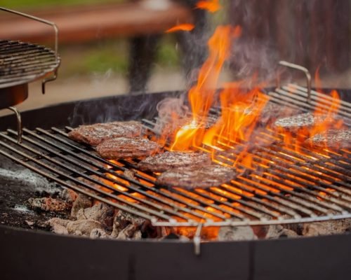 nominated-hamburgers-patties-on-the-grill-under-flaming-coals-bbq-summer-park_t20_B88YK8-min